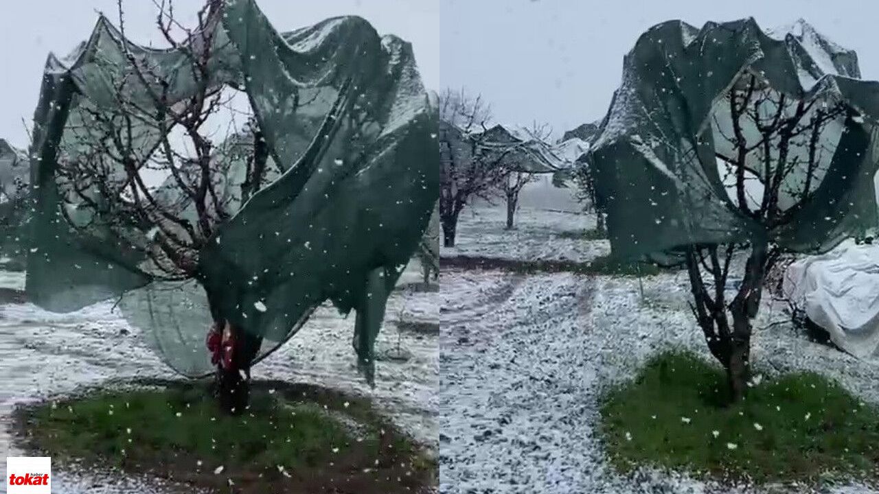 Tokat’ta Zirai Don Riskine Karşı Üreticiler Bahçelerde Teyakkuza Geçti